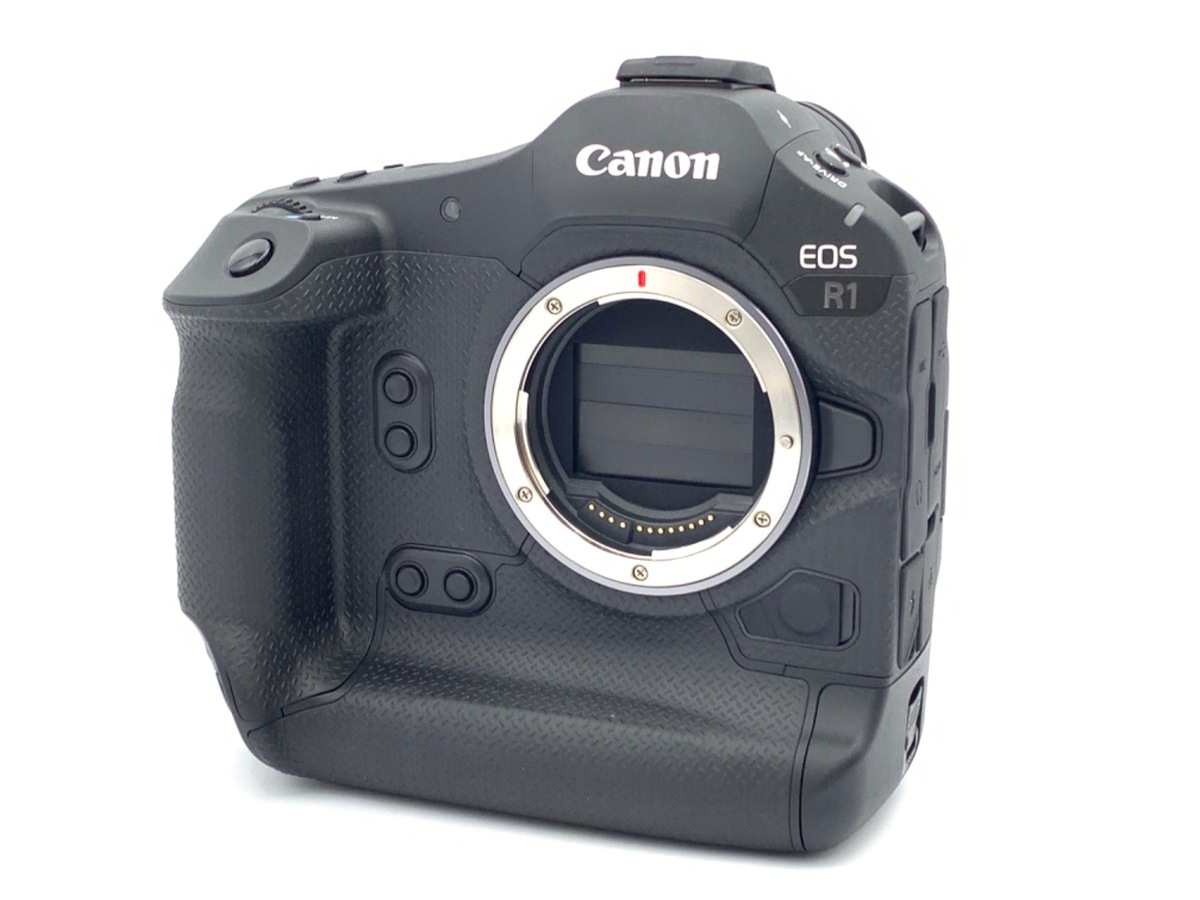 デジタル一眼レフカメラCanon EOS 8000D 標準レンズセット