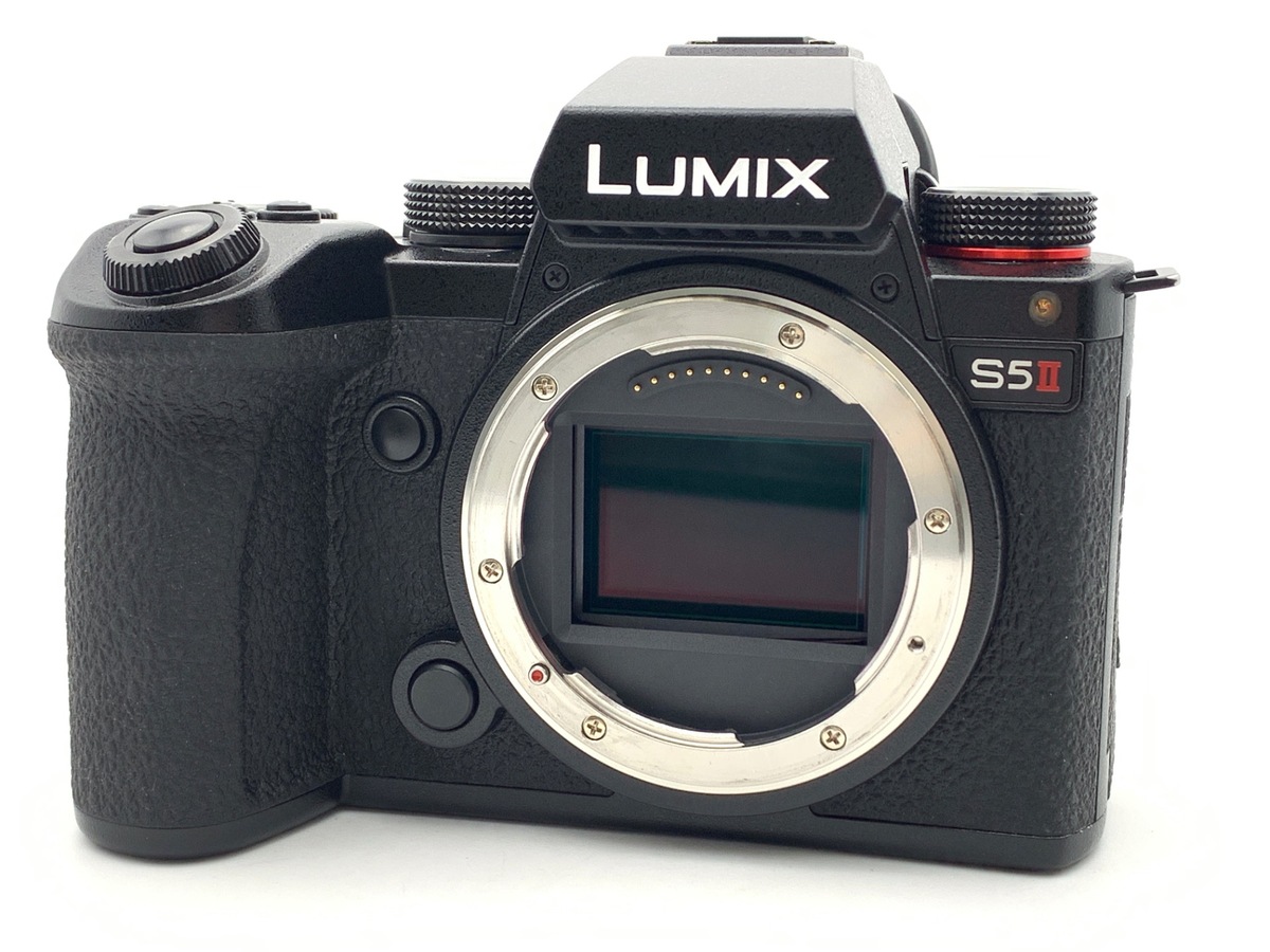 LUMIX GH1 ミラーレス一眼 概要 デジタル一眼カメラ/ボディ DMC-GH1 | LUMIX（ルミックス