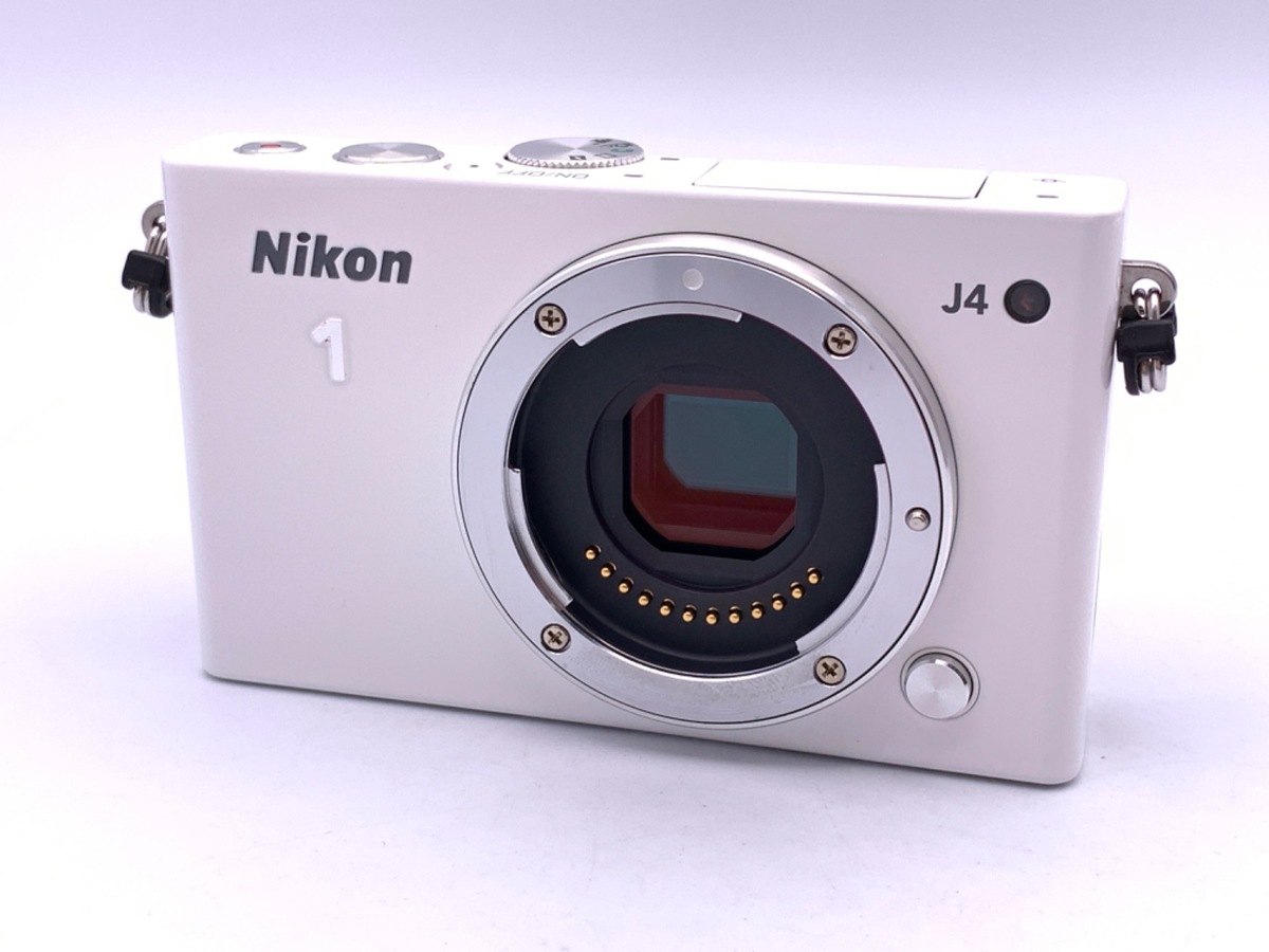 ニコン　D4 古くてもフラグシップ！「Nikon D4」で楽しむ！ | あそぶログ！