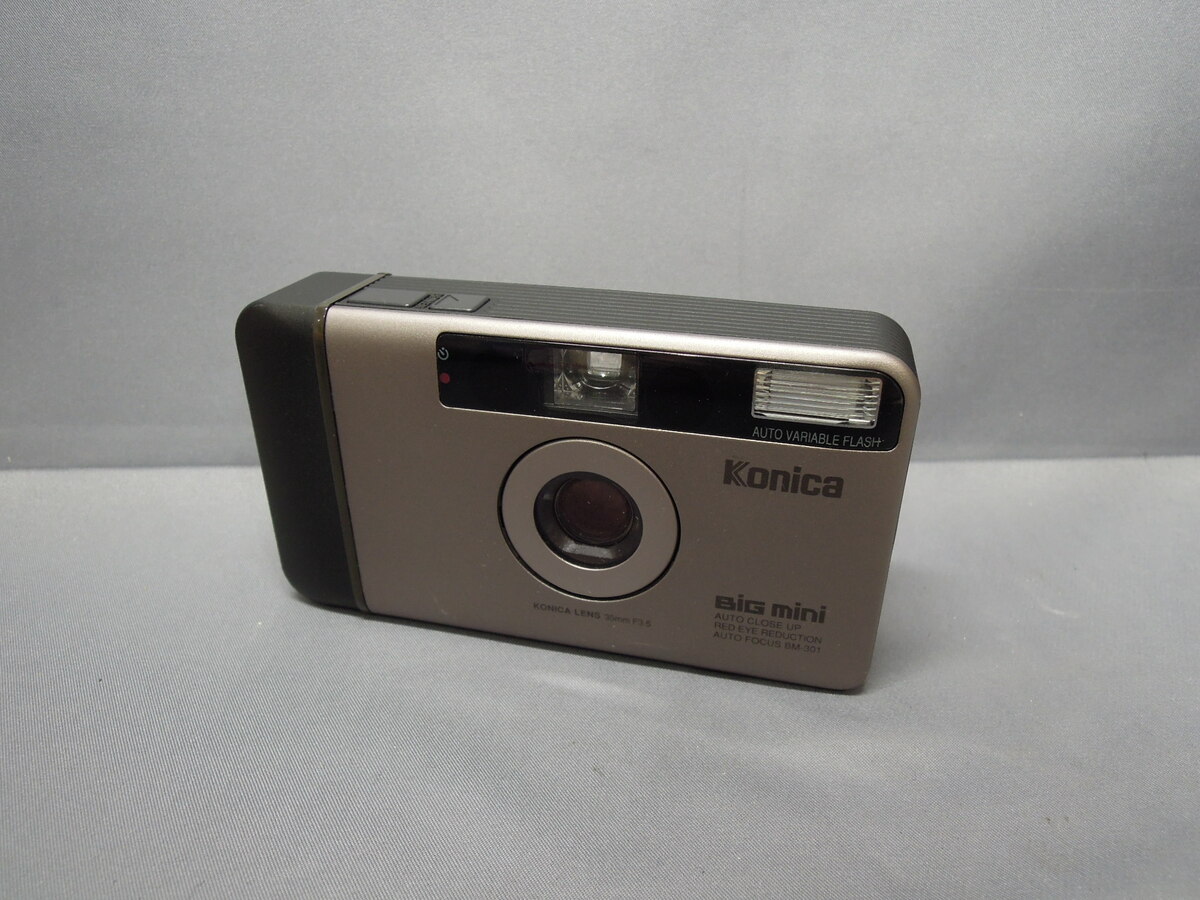 BM-301 (�r�b�O�~�j)