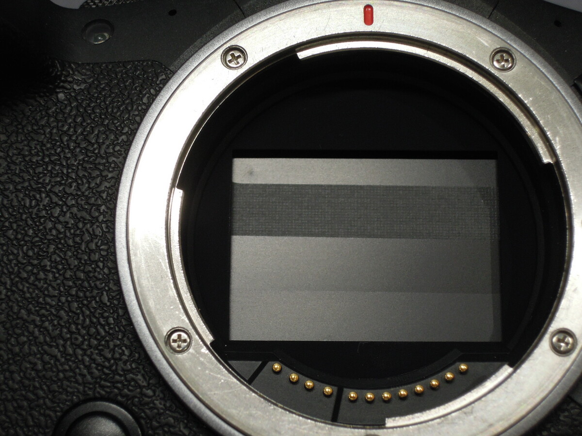 キヤノン EOS R6 ボディ