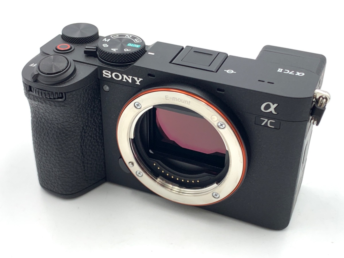 Sony NEX-5N デジタル一眼レフ 71kOXRv9F3L._UF350,350_QL50_.jpg