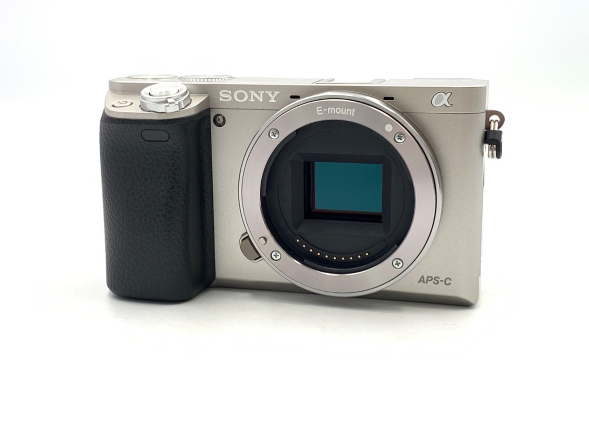 SONY α6600 ボディ Amazon | SONY(ソニー) ミラーレス一眼 α6600 ボディ ブラック