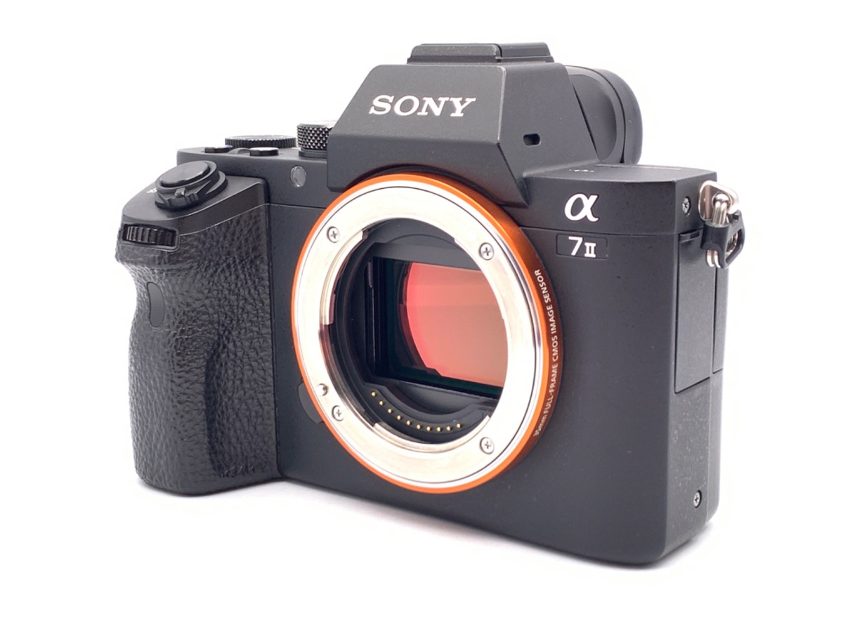 価格.com SONY ソニー α6600/ILCE-6600 ミラーレス一眼レフカメラ 