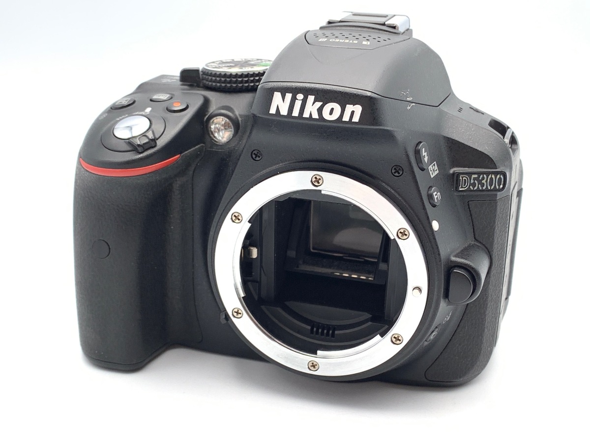 D5300 ި ׯy2416fz