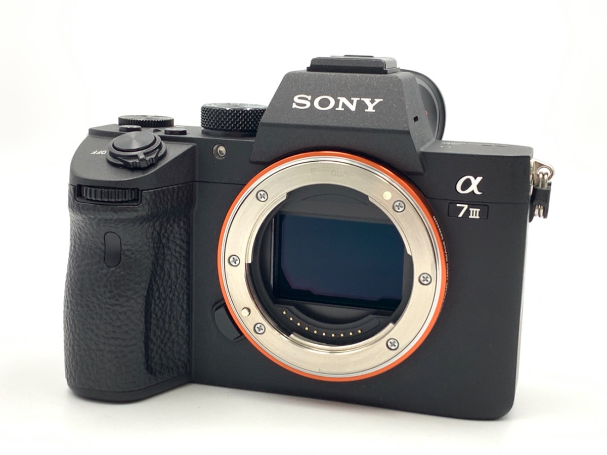 【4736枚】α7 ILCE-7 ボディ　おまけ付き 4736枚】α7 ILCE-7 ボディ おまけ付き