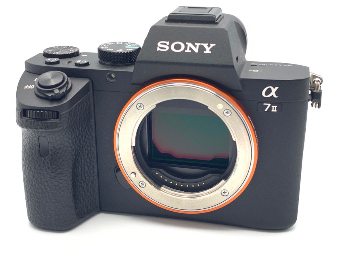 SONY α7S II ILCE-7SM2 ボディ ショット数9,671 SONY α7S II ILCE-7SM2 ボディ ショット数9,671