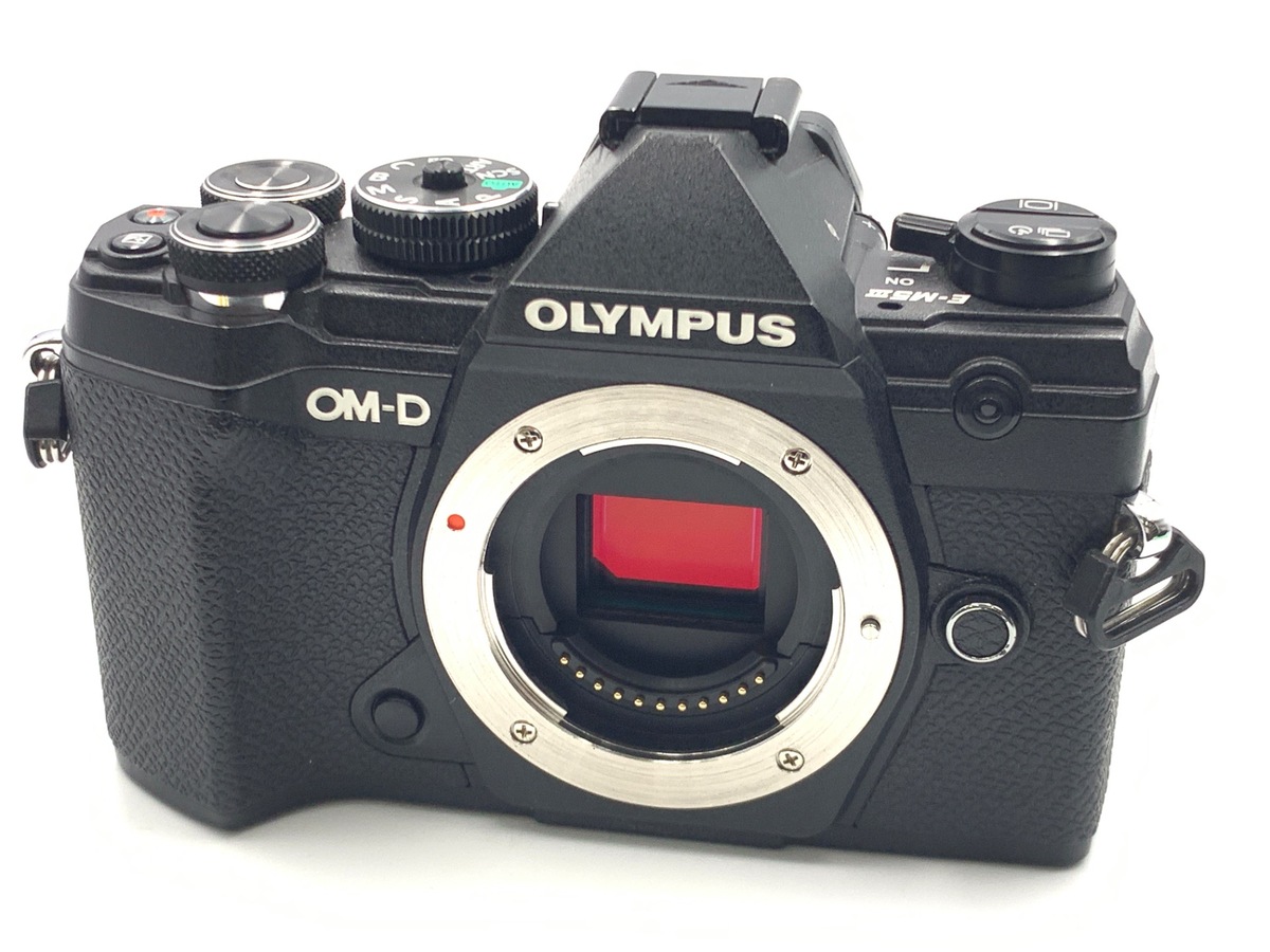 OLYMPUS オリンパス OM-D E-M5 MarkⅢ ボディ ストロボ付き 新製品レビュー：OLYMPUS OM-D E-M5 Mark III（外観・機能編