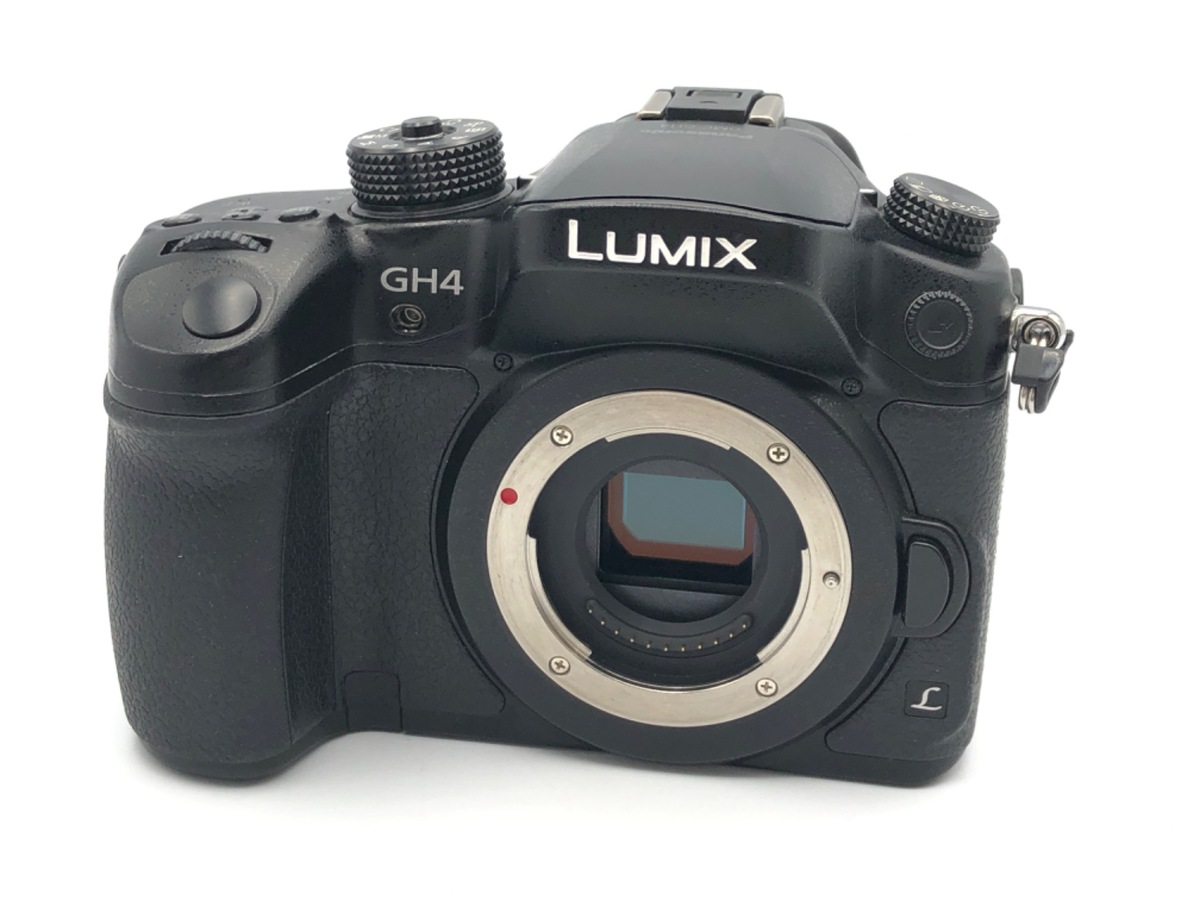 価格.com - パナソニック LUMIX DMC-GF1K レンズキット 純正