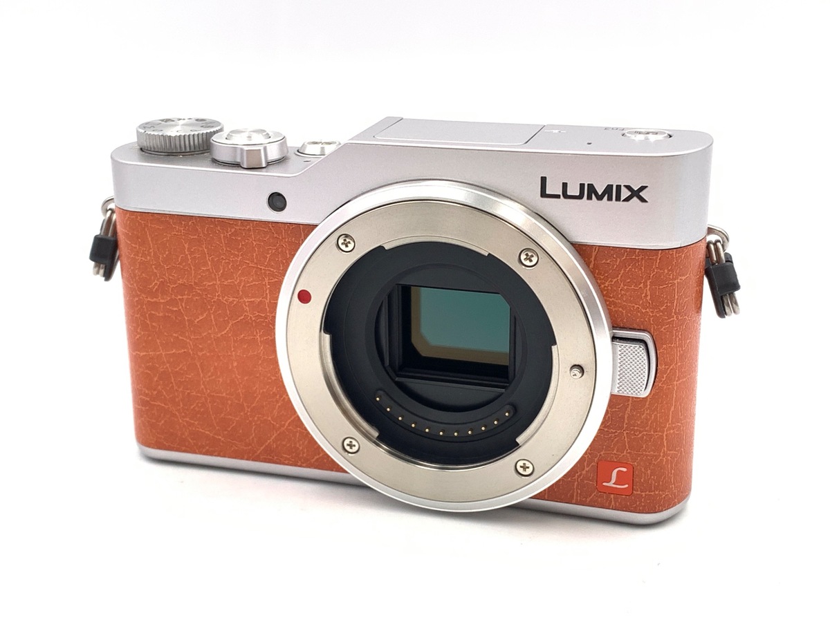 価格.com - パナソニック LUMIX DC-GH6 ボディ 純正オプション