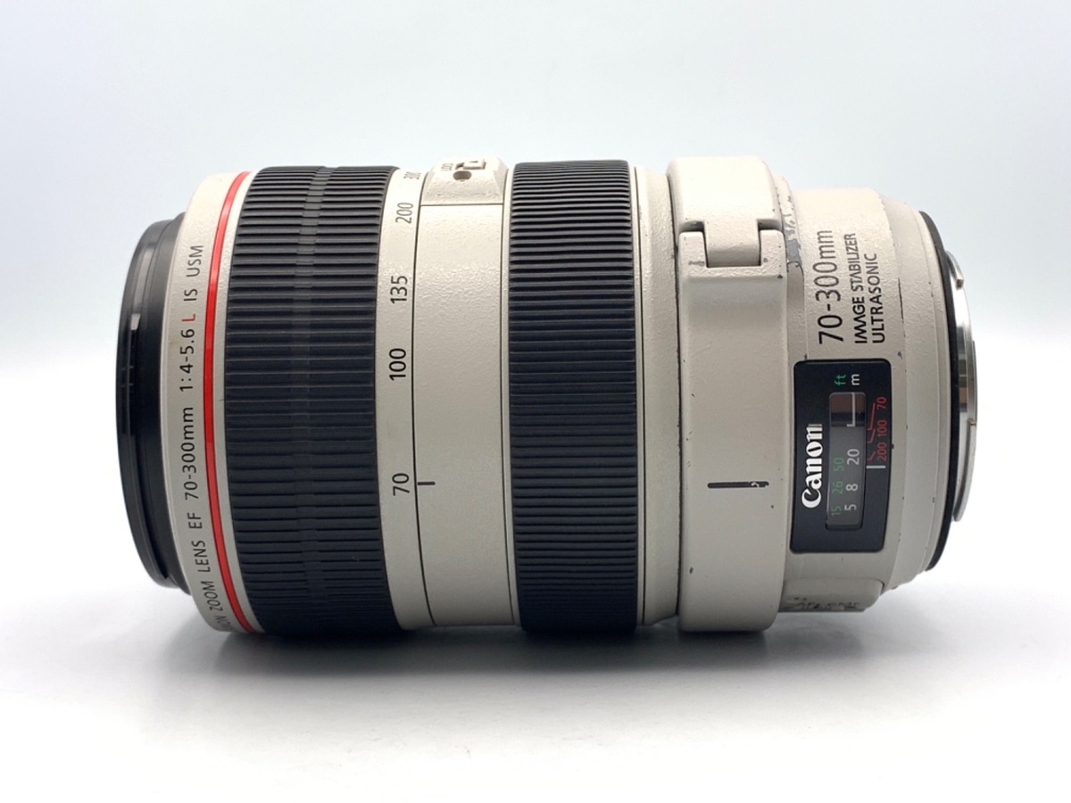 外観特上級】キヤノン Canon EF 70-300mm F4.5-5.6 DO IS USM #k0885