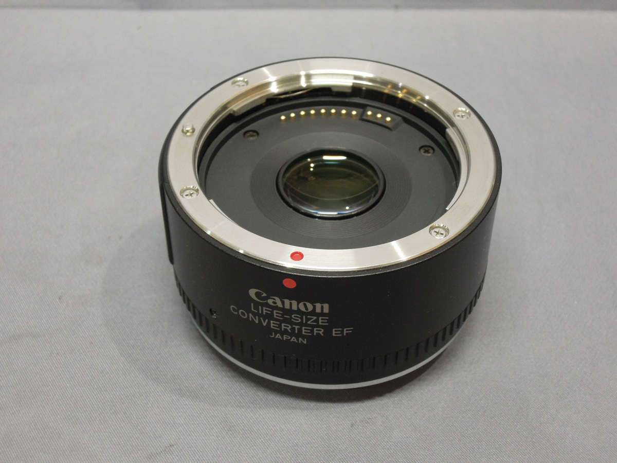 Canon キャノン　マクロ　EF50mm f2.5 ライフサイズコンバーター付 EF50mm F2.5 コンパクトマクロ - キヤノンカメラミュージアム
