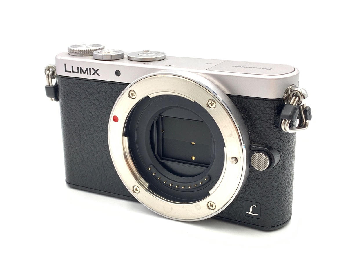 価格.com - パナソニック LUMIX DC-G100DK レンズキット 純正オプション