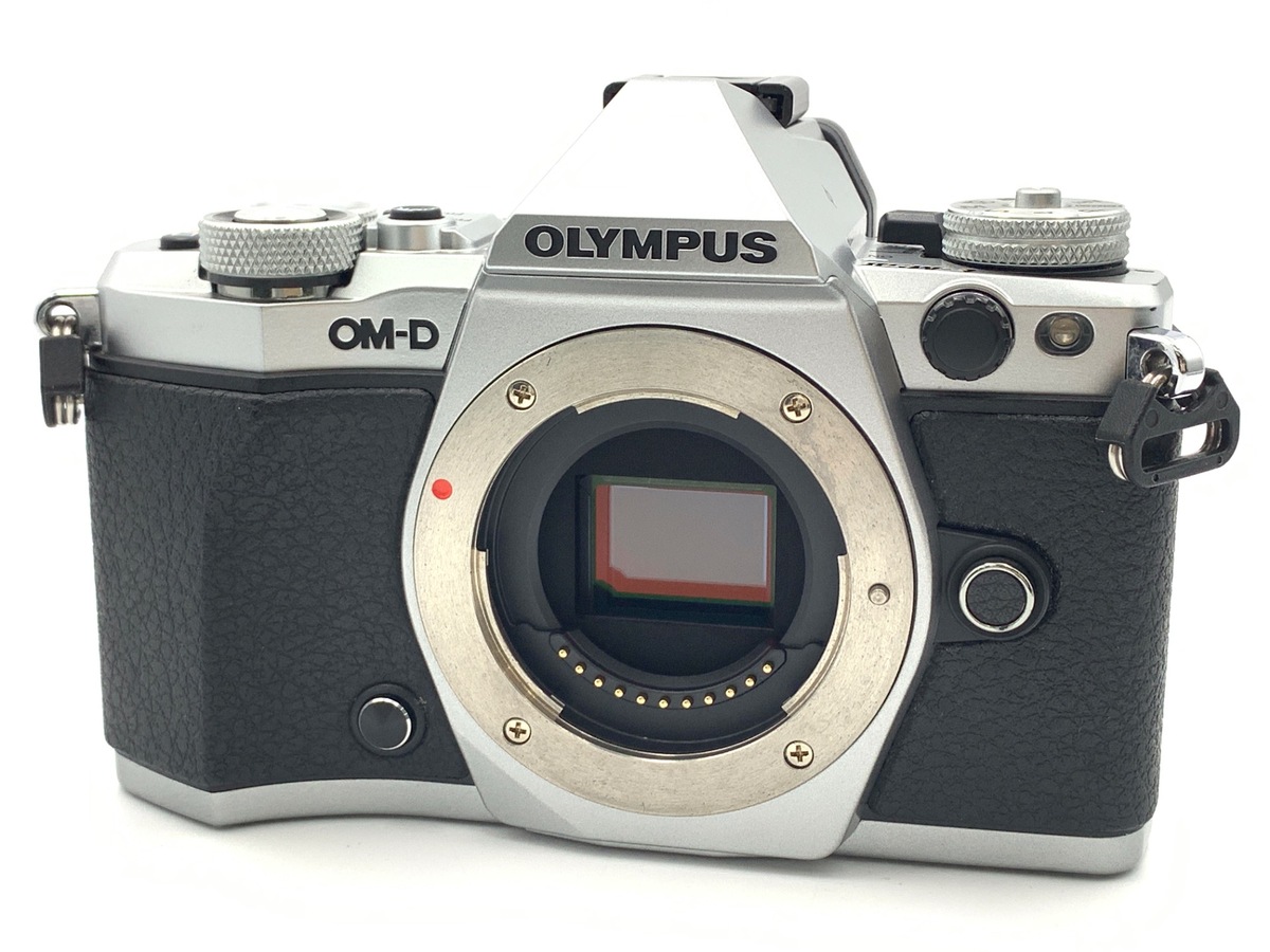 新品級　OLYMPUS PEN E-PL10 ダブルズームレンズ　シルバー 薄型標準ズームと軽量コンパクトな望遠ズーム、2本のレンズを