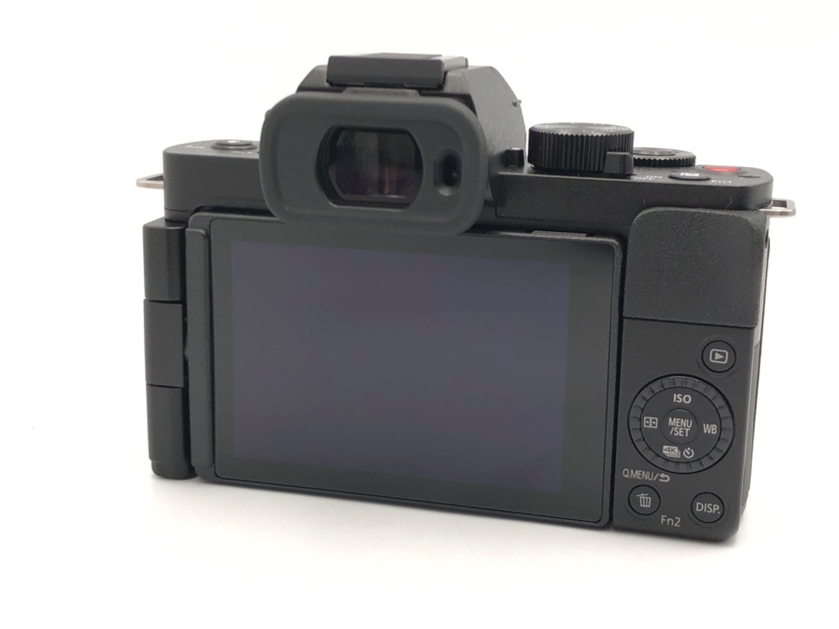 DC-G100 ���ި�y2030����f�z