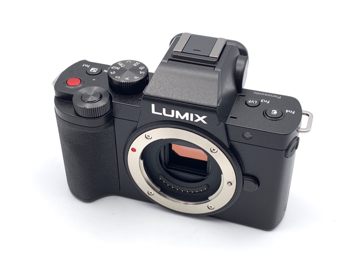 DC-G100 ���ި�y2030����f�z