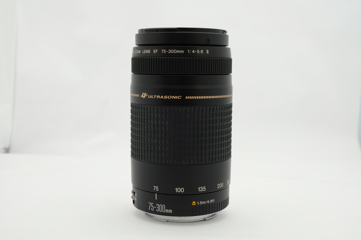 EF 75-300/4-5.6 II USM
