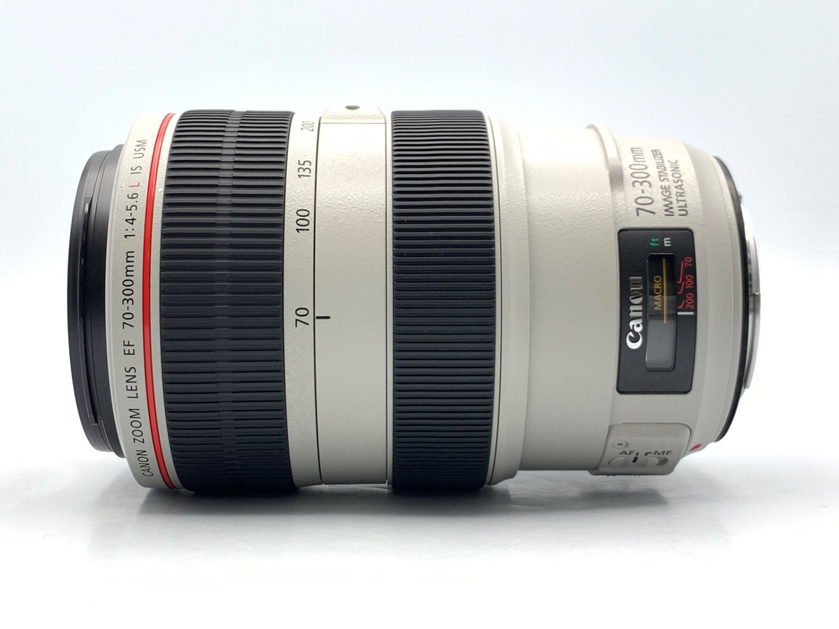 EF 70-300/4-5.6 L IS USM