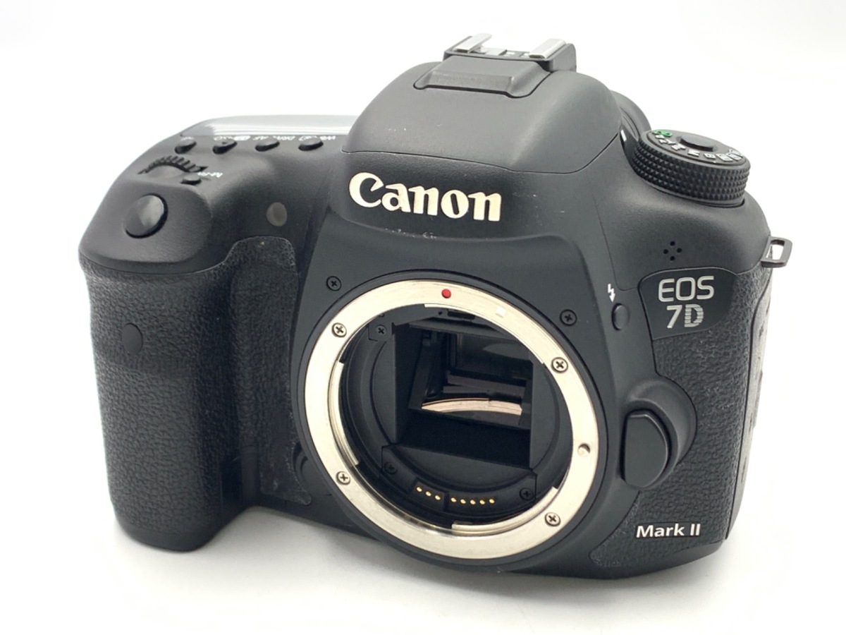 価格.com - CANON EOS R100 ダブルズームキット 純正オプション