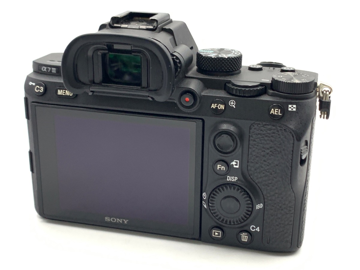 SONY α7SⅢ 難あり 買ってよかった α7SIII 購入して4ヶ月くらいが経過 α1との共存は