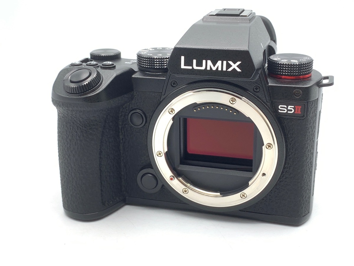 価格.com - パナソニック LUMIX DC-G99D ボディ 純正オプション