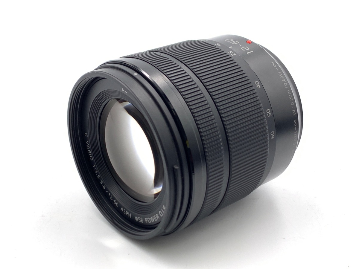 LUMIX G VARIO 12-60/3.5-5.6 ASPH./POWER O.I.S (H-FS12060)