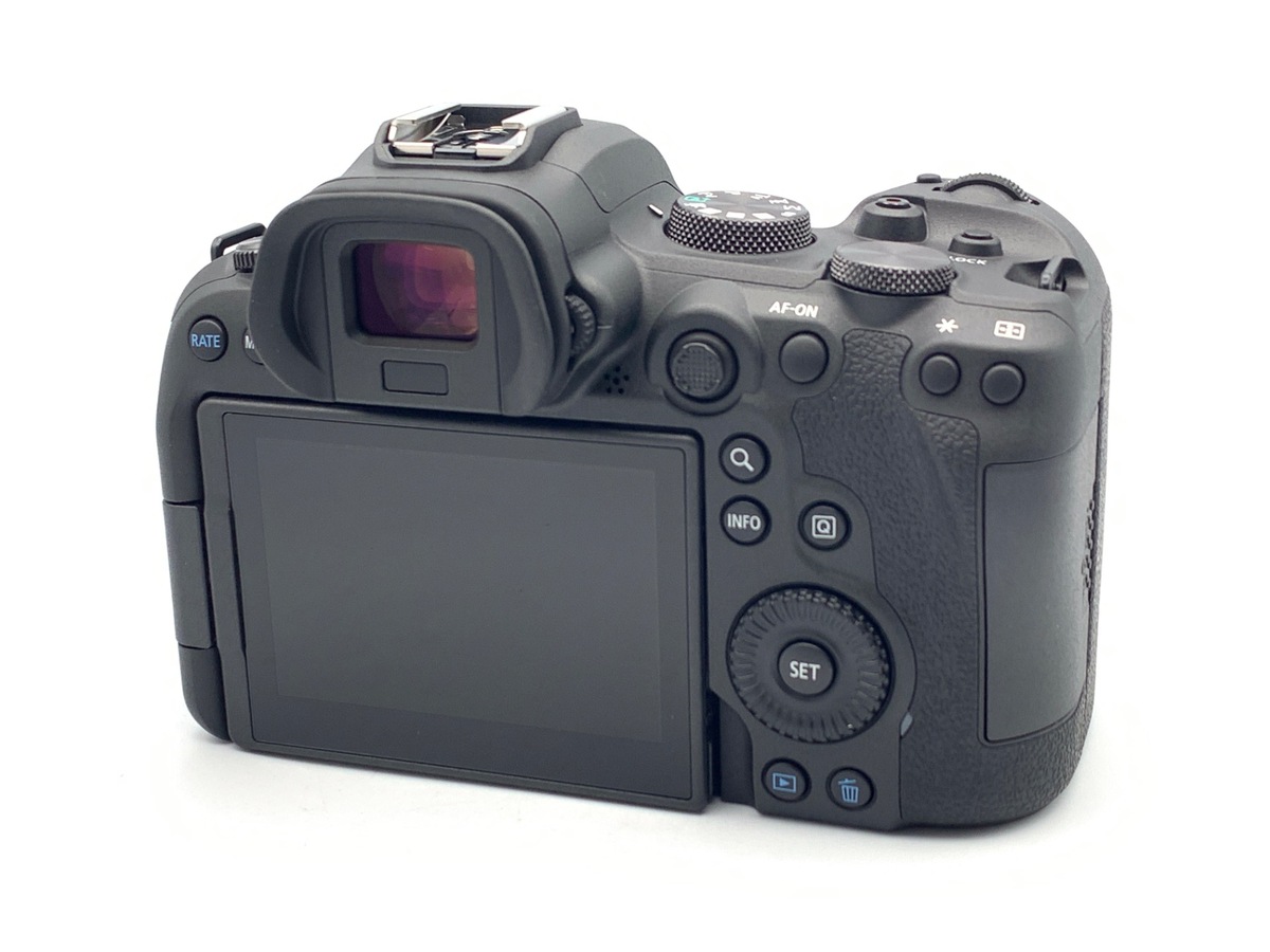 EOS R6 �{�f�B�y2010����f�z