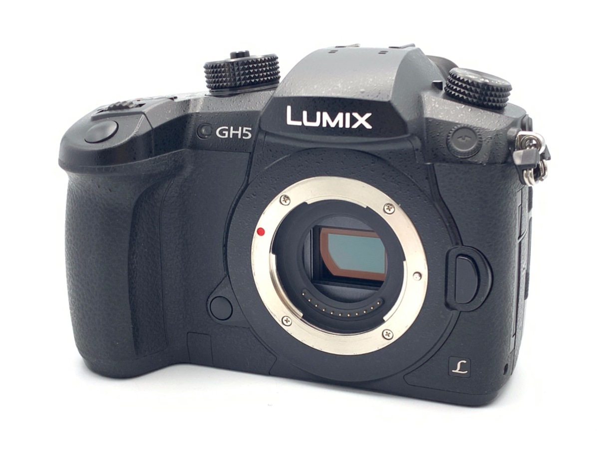 価格.com - パナソニック LUMIX DMC-G2 ボディ 純正オプション