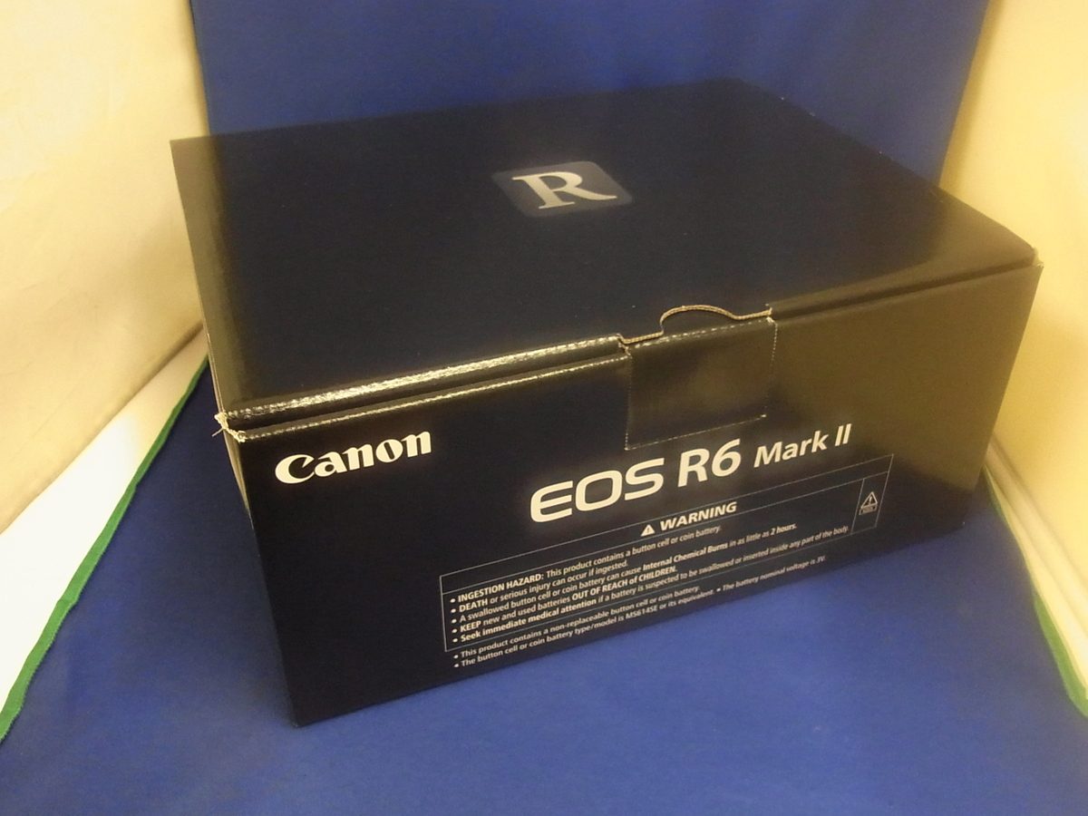 中古：AA(新品同様)】キヤノン EOS R6 MarkII ボディ | 2447020195992