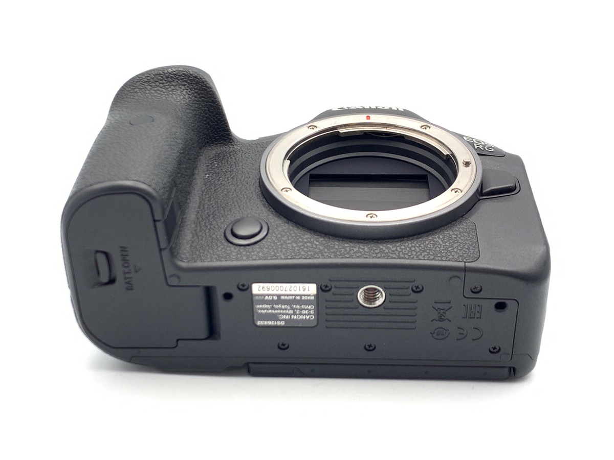 EOS R6 �{�f�B�y2010����f�z