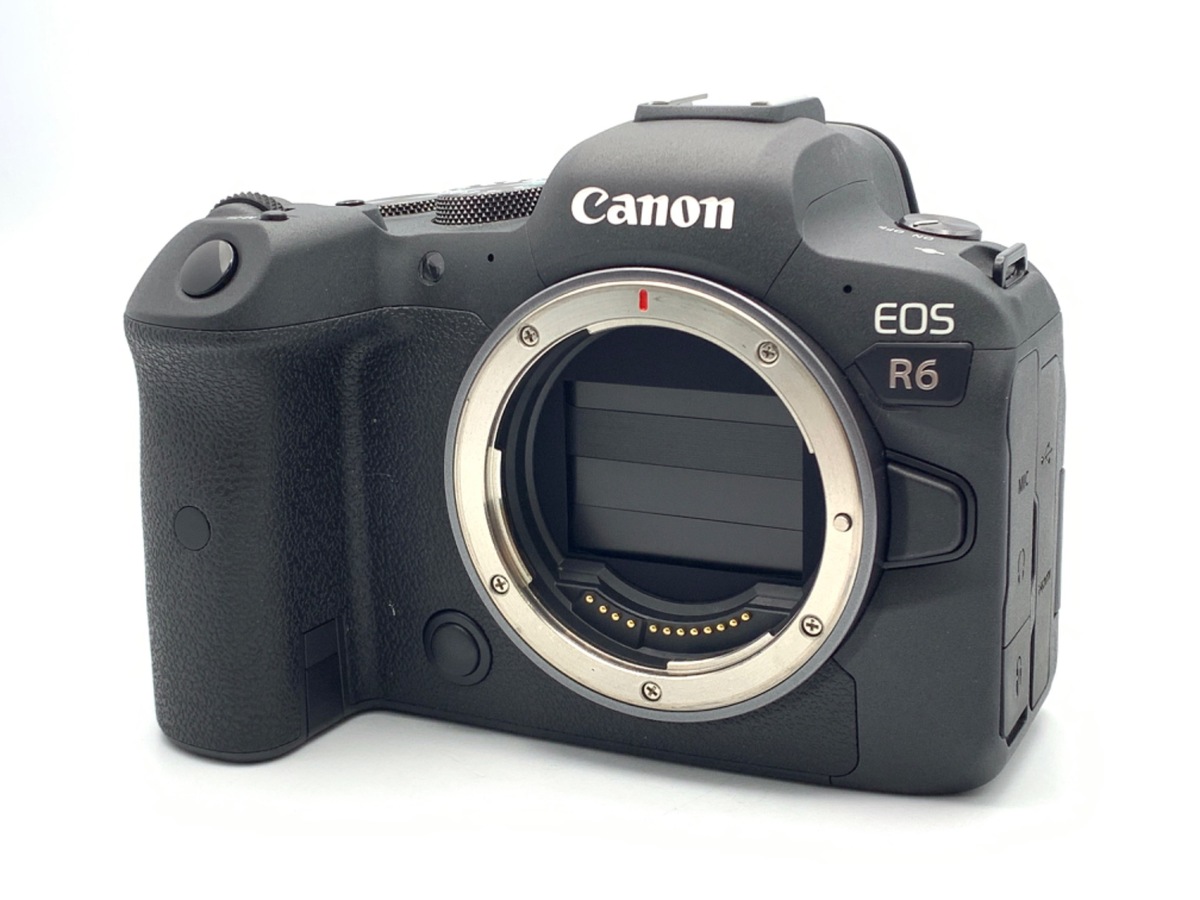 EOS R6 �{�f�B�y2010����f�z