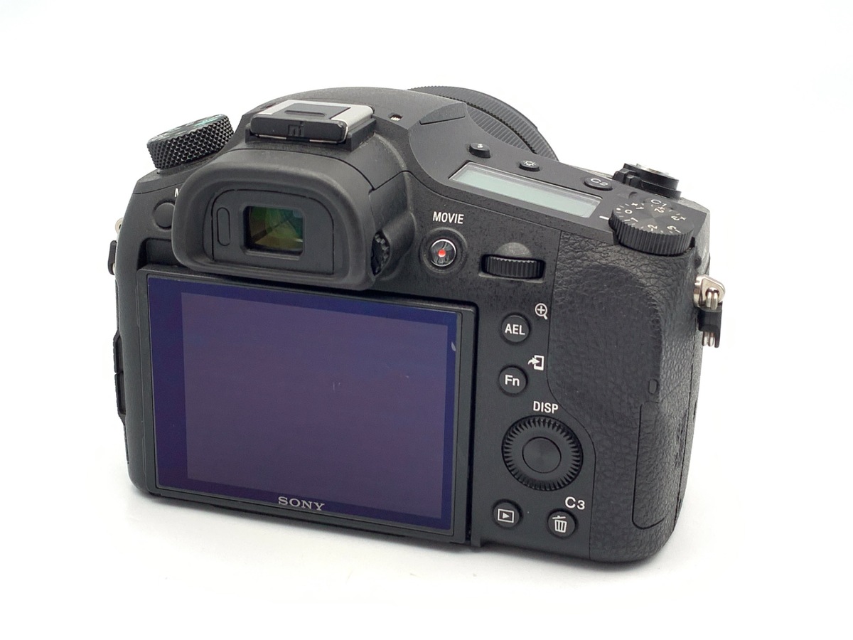 DSC-RX10M4�y2010����f�z