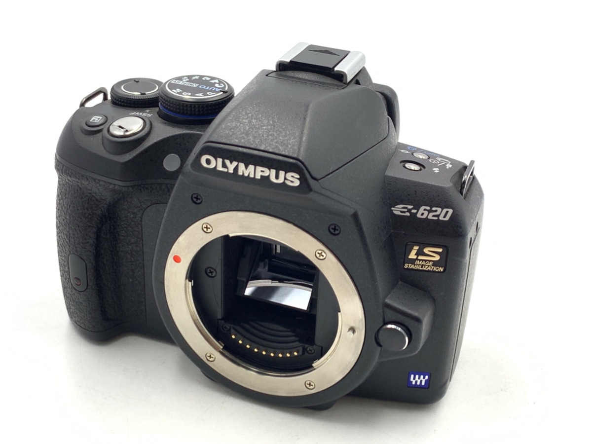 E-620 OLYMPUS レンズキット 望遠 40-150mm 極上 望遠レンズ付き