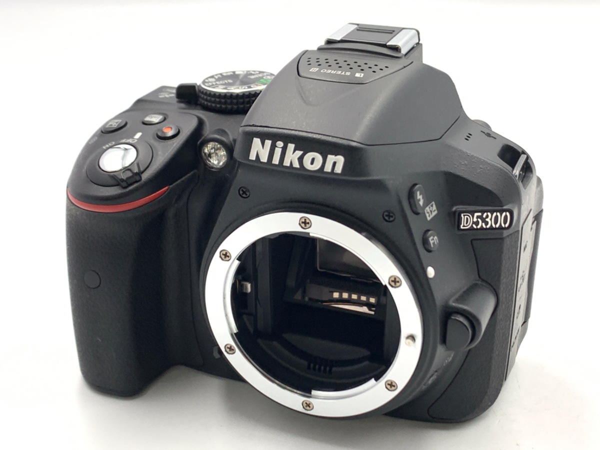 D5300 ި ׯy2416fz