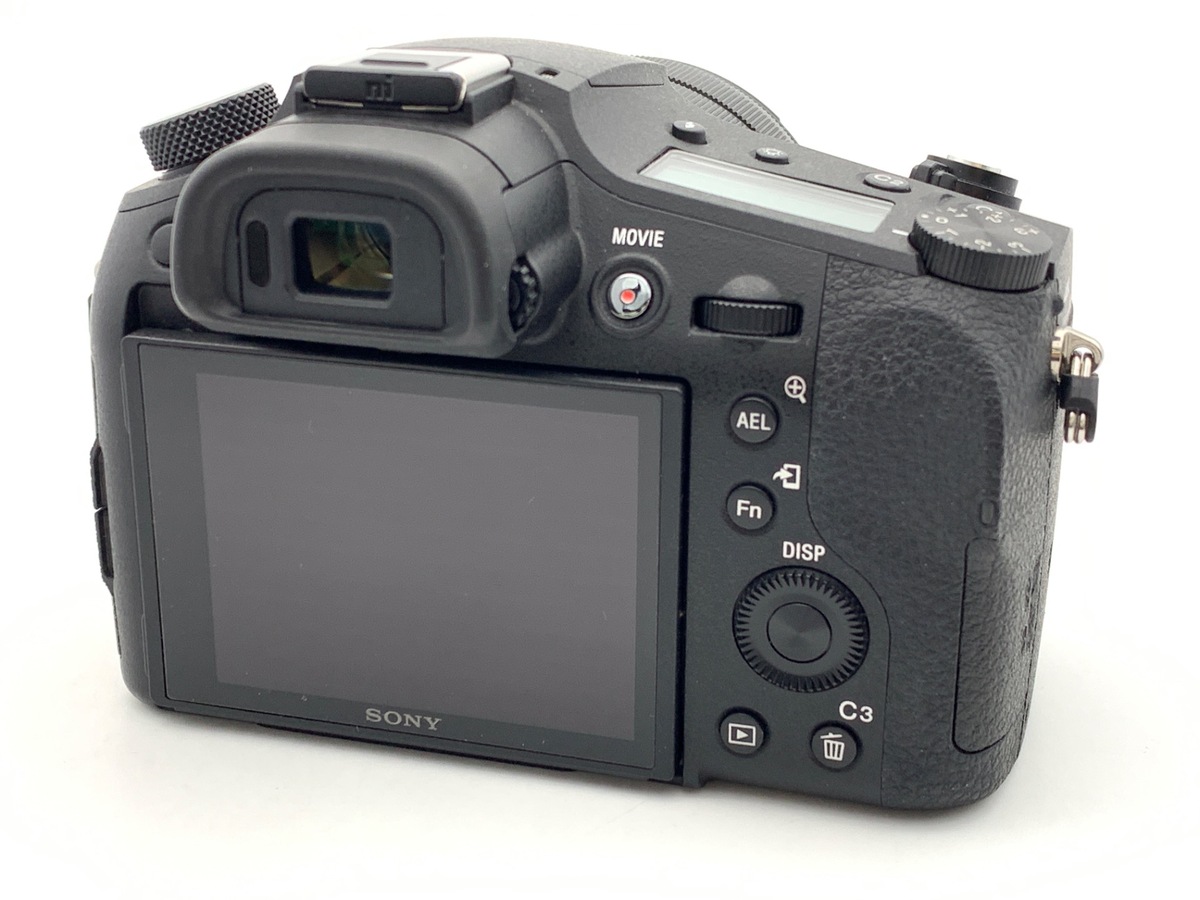 DSC-RX10M4�y2010����f�z