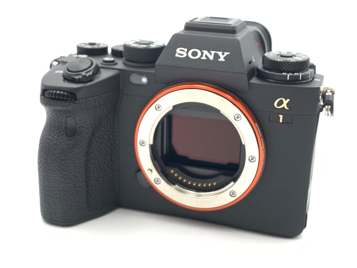 ソニーSONY α7RII ILCE-7RM2 ボディ美品4000万画素 価格.com - SONY α7R II ILCE-7RM2 ボディ 価格比較