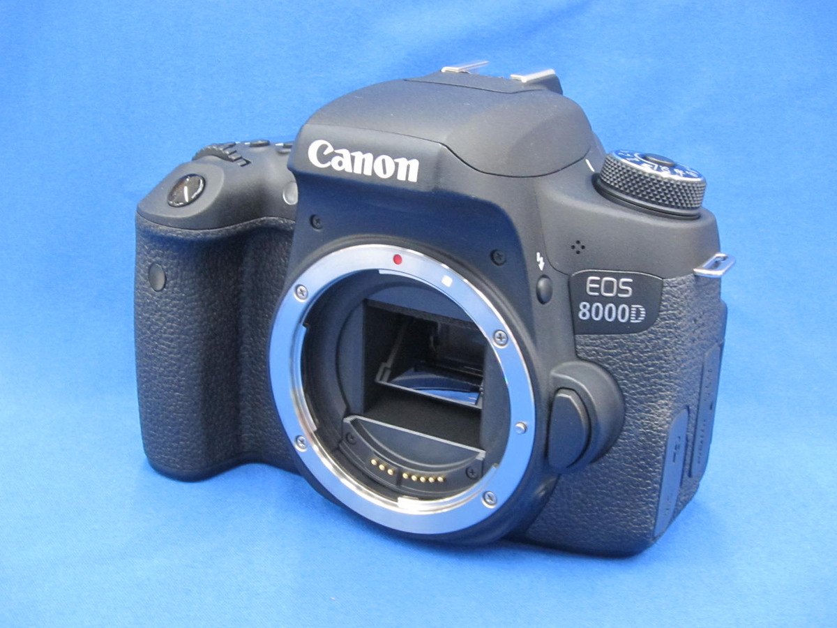 EOS 8000D キヤノン Canon 超望遠トリプルレンズセット SDカード