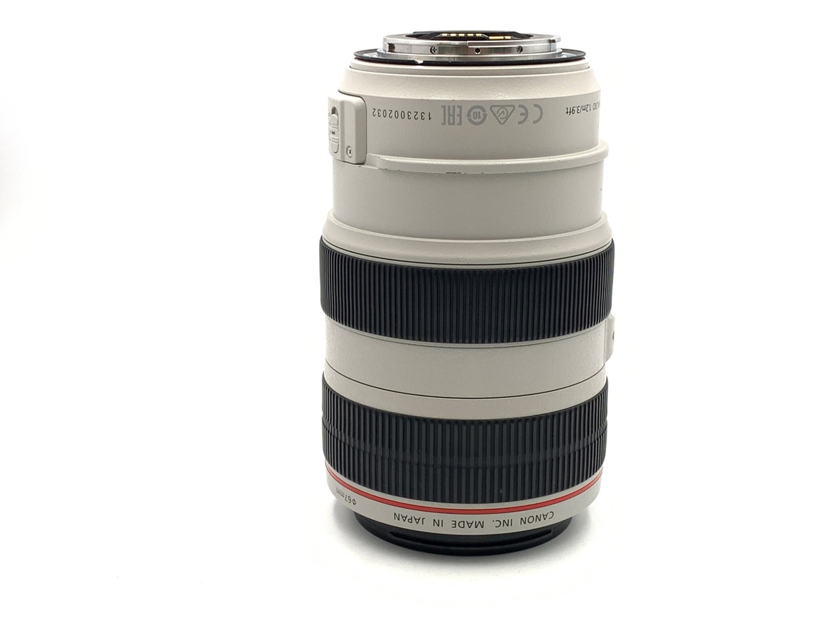 EF 70-300/4-5.6 L IS USM