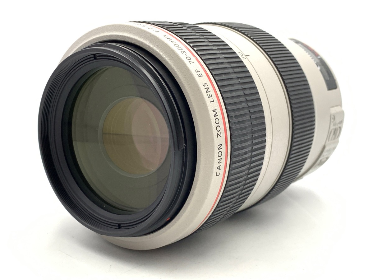 EF 70-300/4-5.6 L IS USM