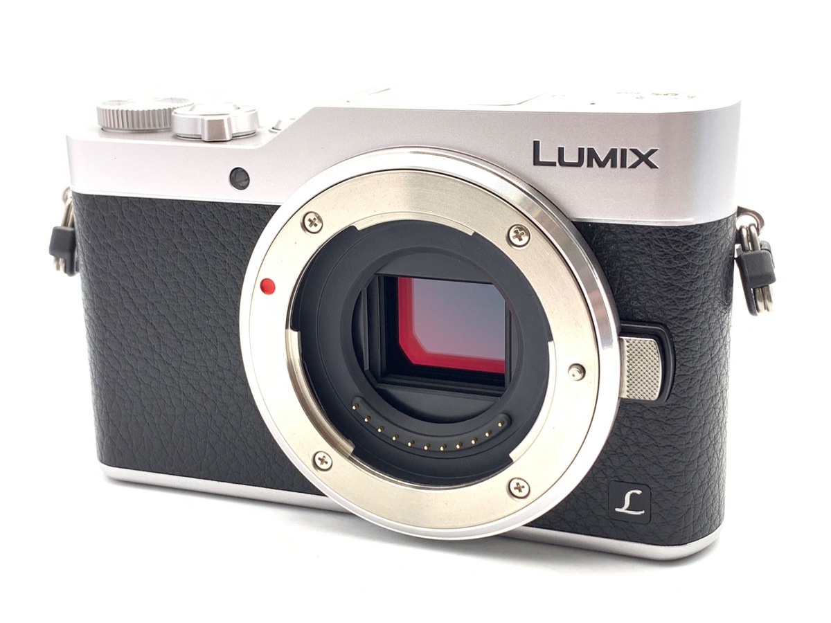 価格.com - パナソニック LUMIX DC-GH5M2 ボディ 純正オプション