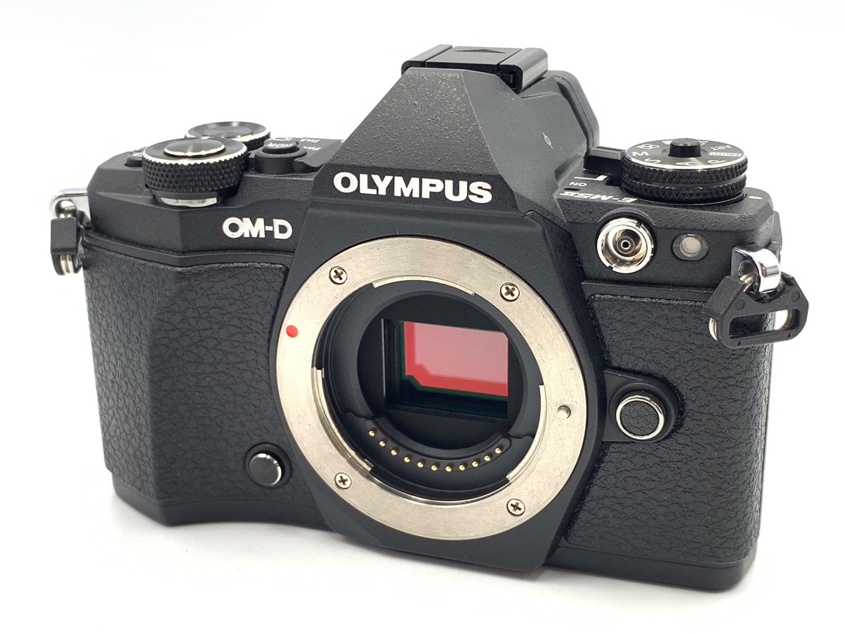 【SAYUTAKE】【ジャンク】OM-D E-M5 MarkII ボディ OLYMPUS OM-D E-M5 MarkⅡ｜桺蓼