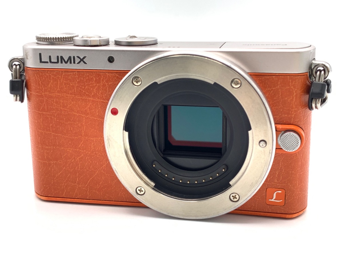 価格.com - パナソニック LUMIX DMC-L10K レンズキット 純正オプション