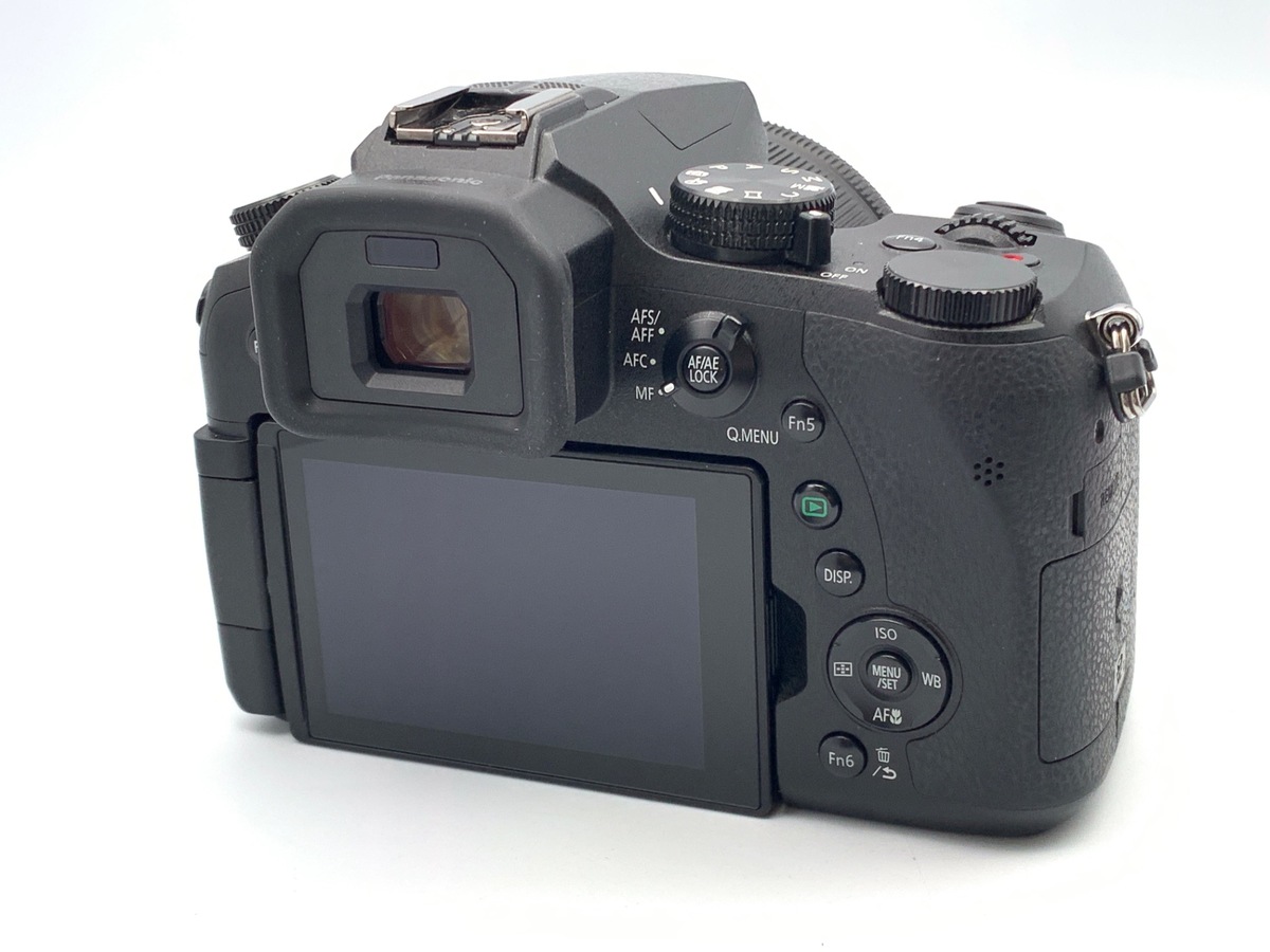 DMC-FZH1�y2010����f�z