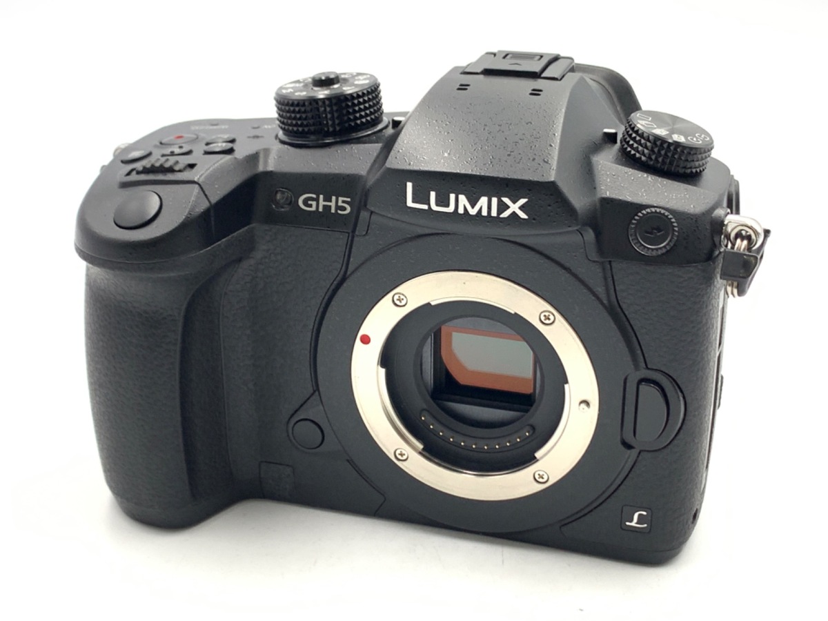 美品 LUMIX GH5 ボディ 付属品多数！ Panasonic LUMIX GH5 RD-SPM049 ミラーレス デジタル一眼レフ