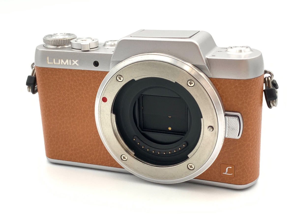 �p�i�\�j�b�N DMC-GF7 �{�f�B �u���E��