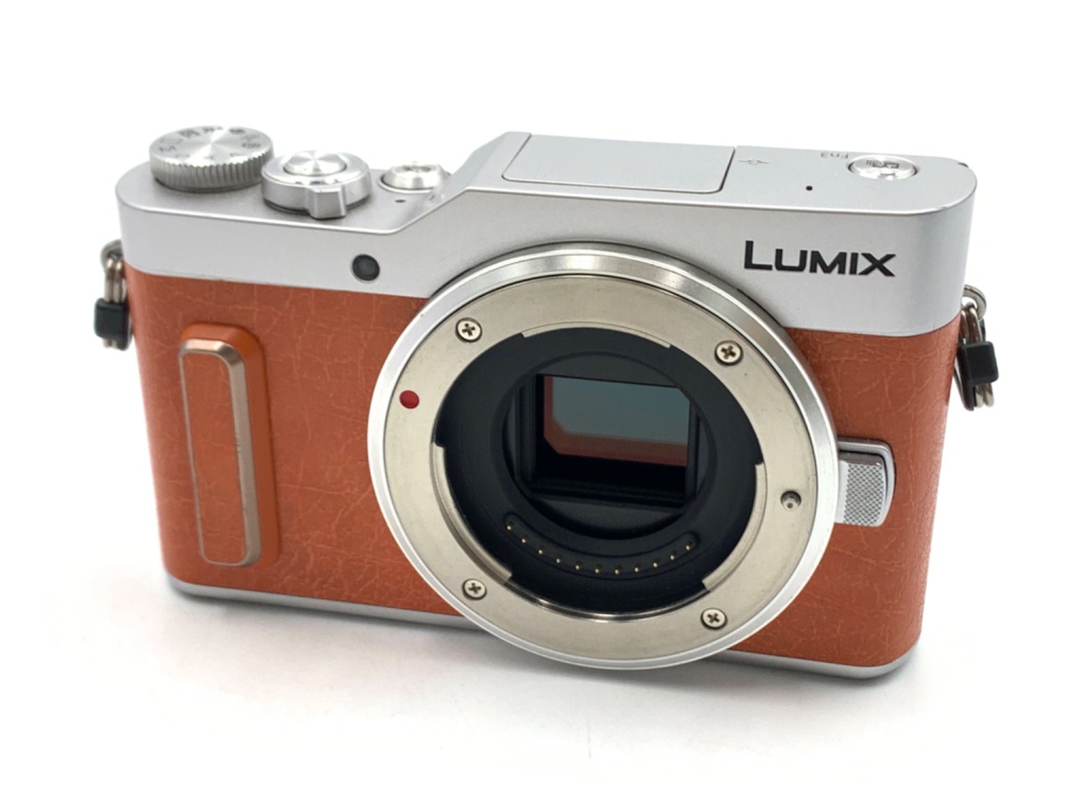 デジタルカメラ Panasonic LUMIX DC-GH5 Amazon.com : Panasonic LUMIX GH5 4K Digital Camera, 20.3