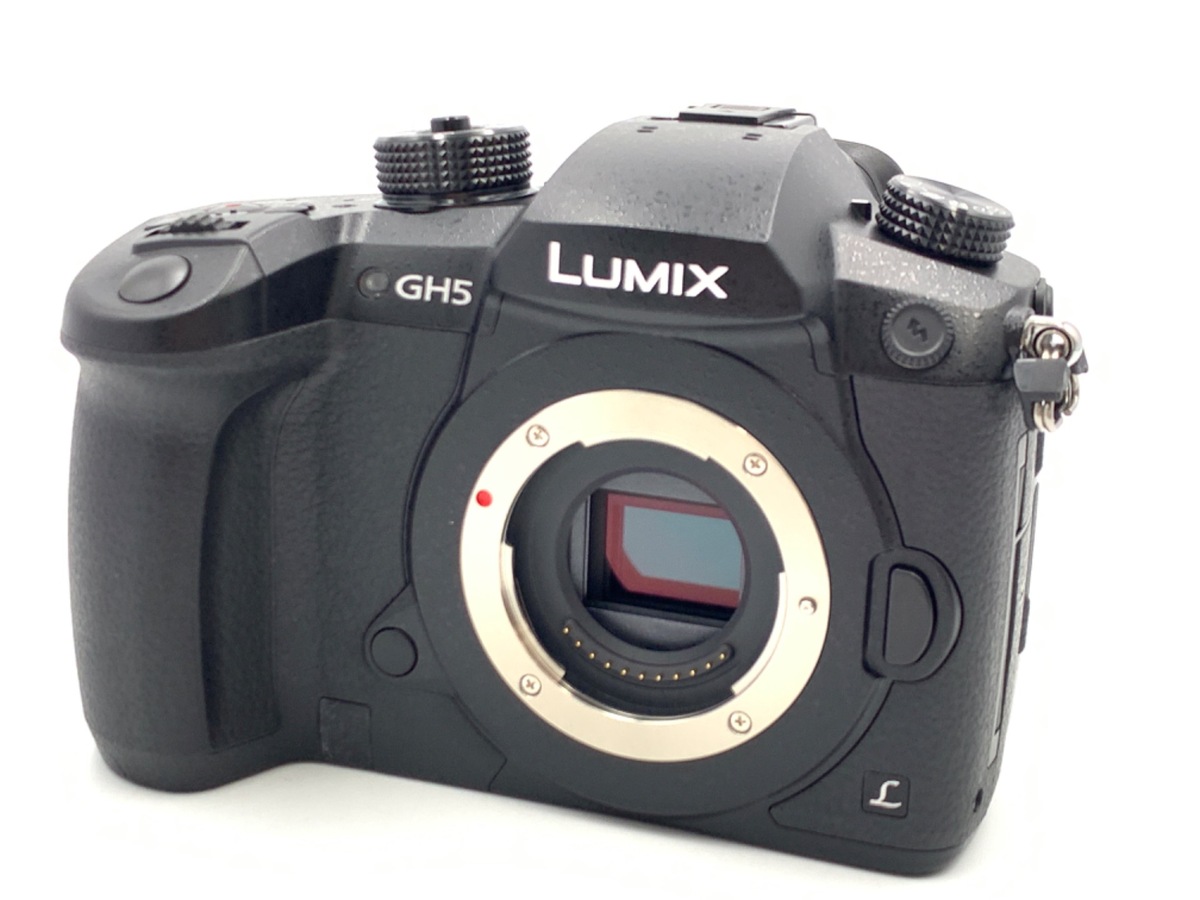 価格.com - パナソニック LUMIX DMC-GX1-K ボディ [エスプリ