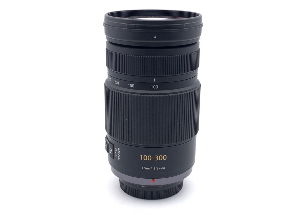 LUMIX G VARIO 100-300/4.0-5.6 MEGA O.I.S. (H-FS100300)