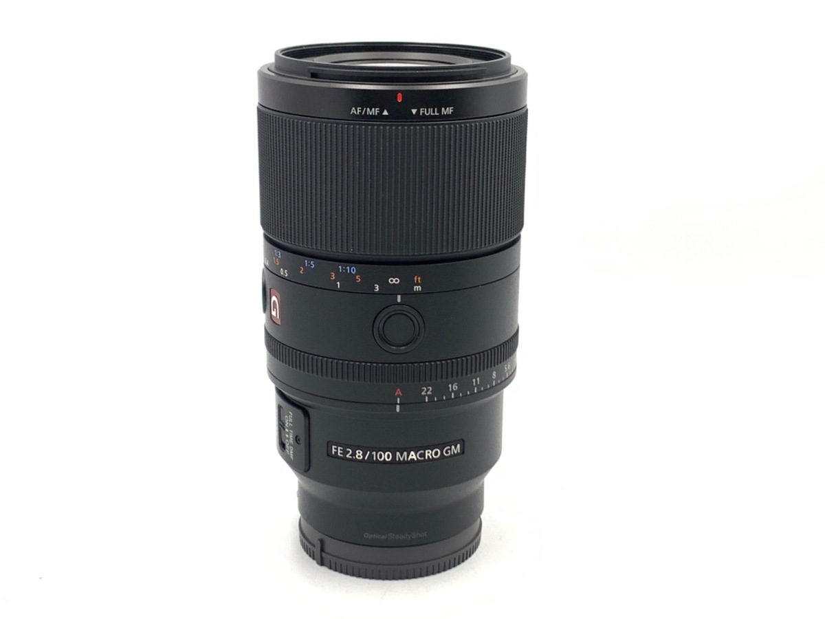 FE 100mm F2.8 Macro GM OSS [SEL100M28G]