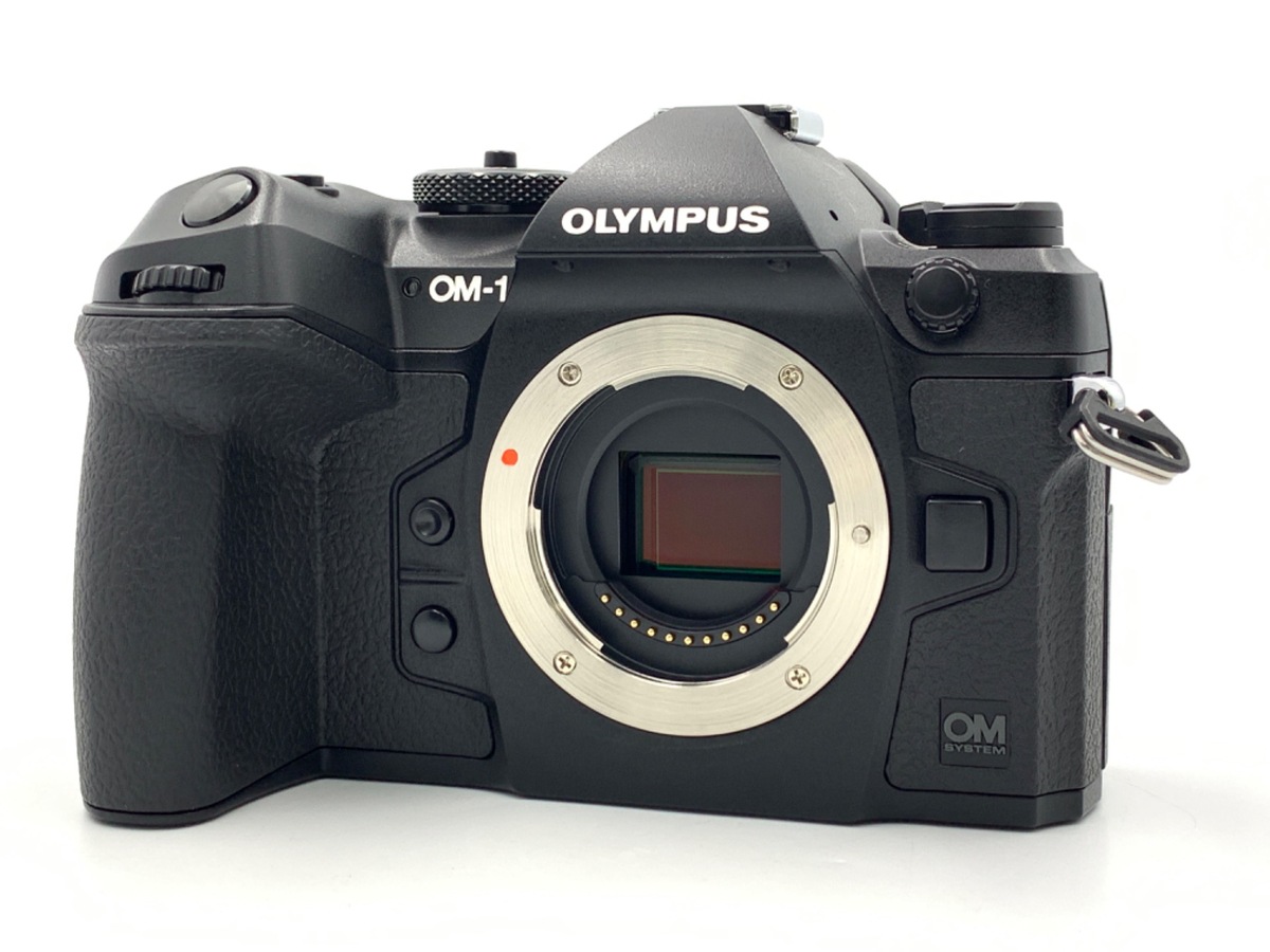 OM SYSTEM OM-1 �{�f�B